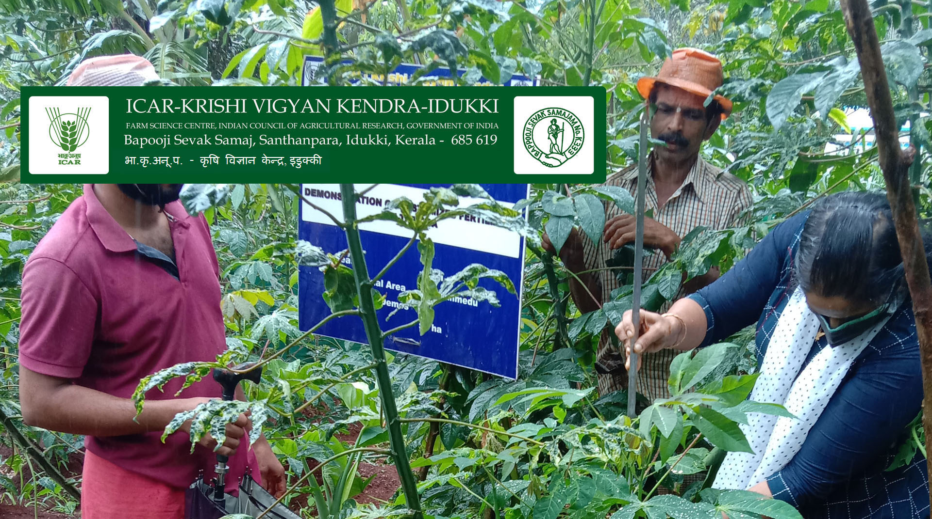 kvk idukki